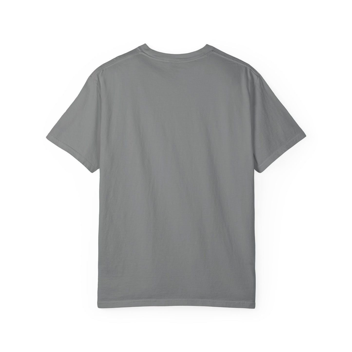Fast Cars Only Unisex T-Shirt – Podium Pitlane